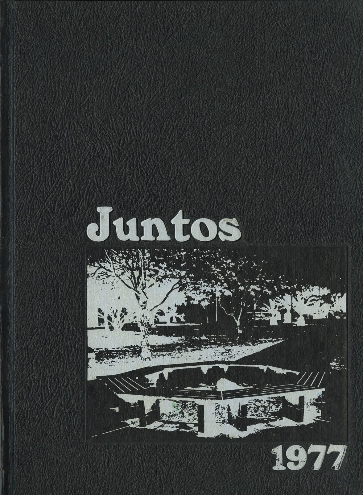 Juntos 1977 cover