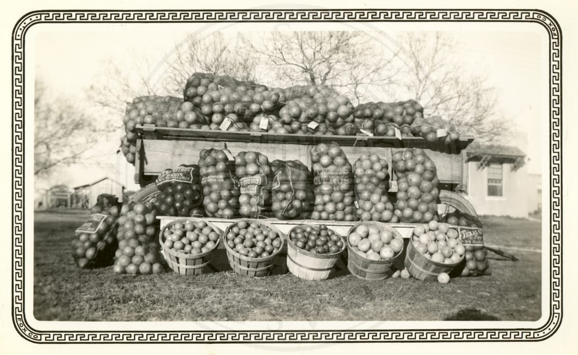 A display of the school’s oranges.