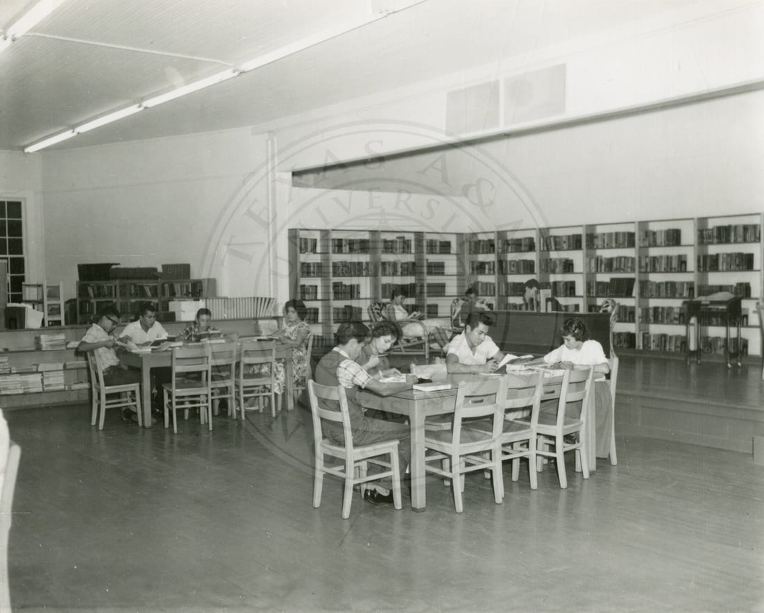 Studying in the library.
