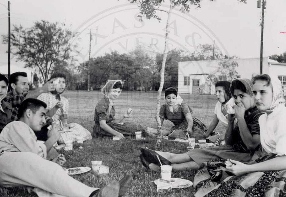 A picnic.