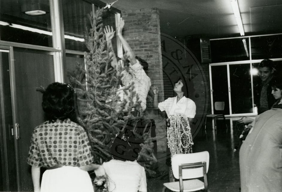 Trimming the Christmas tree.