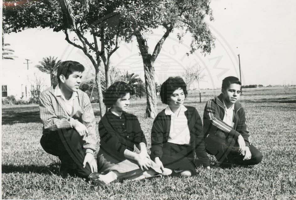 On the grass.