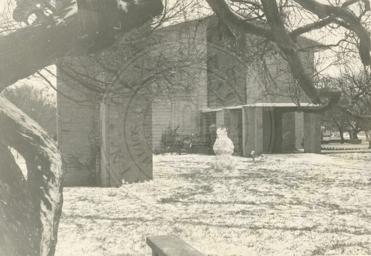 A snowman — in Kingsville — 1966–67.