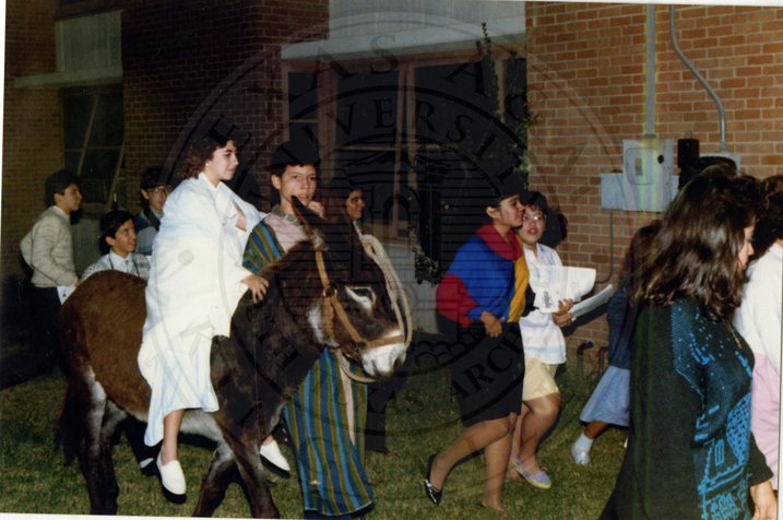 The nativity scene, donkey included.