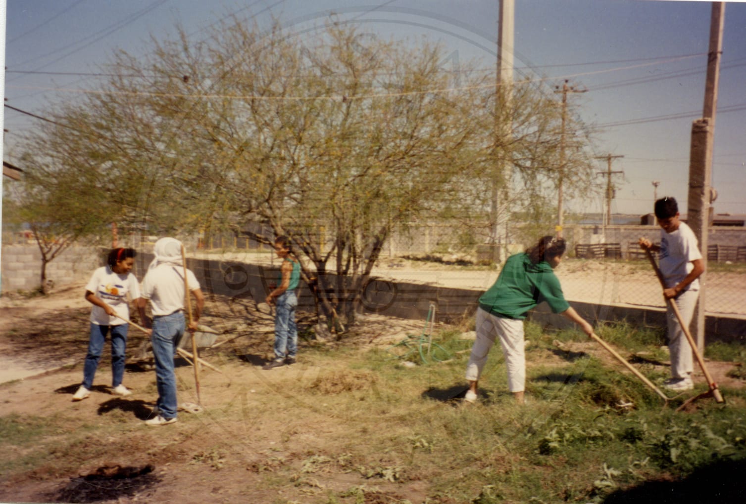 Work program, 1990.