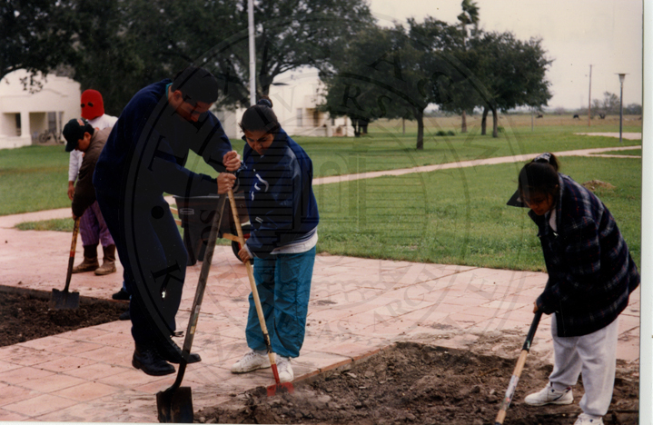 Work program, 1994.