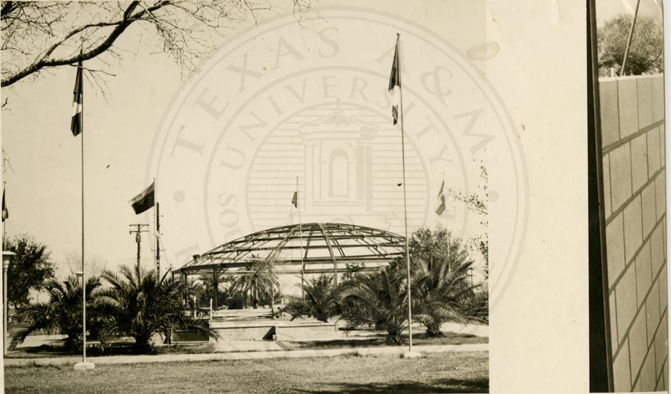 The gymnasium under construction.