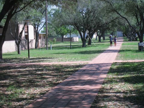 A brick path under the live oaks, 2012.