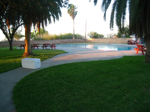 The pool and picnic tables under the palms, 2012.