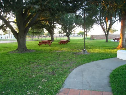 Picnic tables under the live oaks, 2012.
