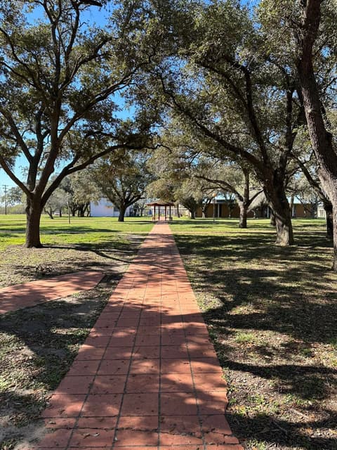 A shaded brick walkway under the live oaks.