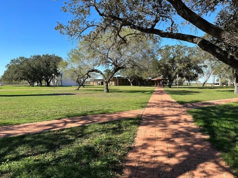 Brick walkways crossing the lawn under the live oaks.