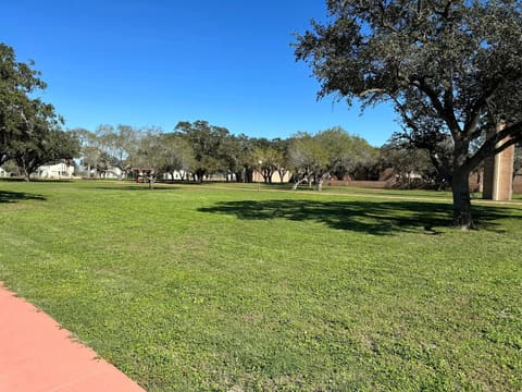 The campus lawn under the oaks on a clear spring day; alumni in the comments remember mowing it by hand.