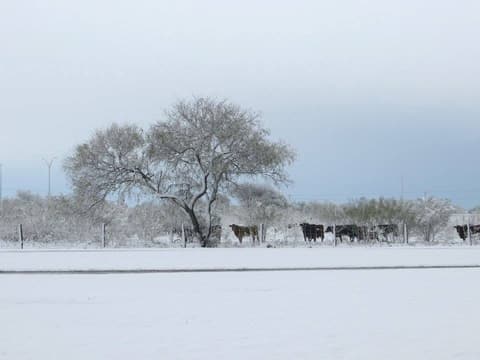Snow on campus, December 8, 2017 — one of the few times it has snowed at Pan Am.