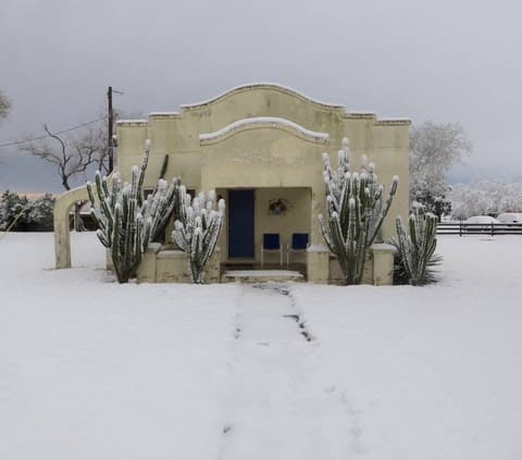 A snowy front garden of cactus and a Spanish-style building on campus, December 8, 2017.