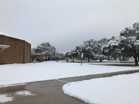 Snow on campus, December 8, 2017 — one of the few times it has snowed at Pan Am.