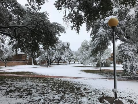 Snow on campus, December 8, 2017 — one of the few times it has snowed at Pan Am.