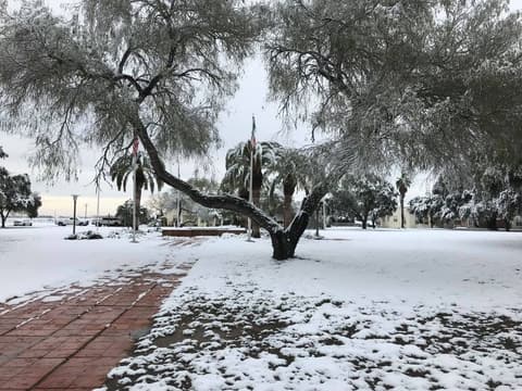 Snow on campus, December 8, 2017 — one of the few times it has snowed at Pan Am.