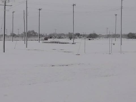 Snow on campus, December 8, 2017 — one of the few times it has snowed at Pan Am.