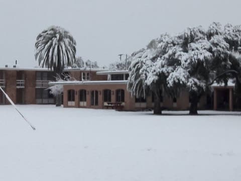 Snow on campus, December 8, 2017 — one of the few times it has snowed at Pan Am.