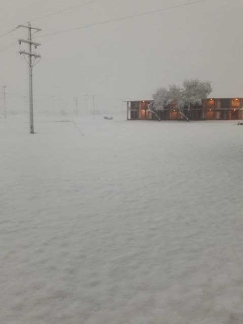 Snow on campus, December 8, 2017 — one of the few times it has snowed at Pan Am.