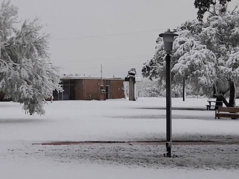 Snow on campus, December 8, 2017 — one of the few times it has snowed at Pan Am.
