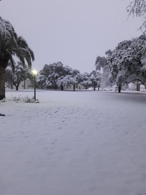 Snow on campus, December 8, 2017 — one of the few times it has snowed at Pan Am.