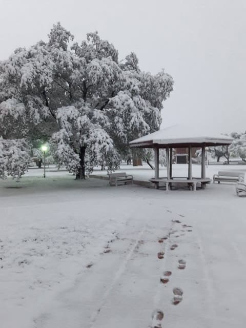 The gazebo and footprints in the snow, December 8, 2017.