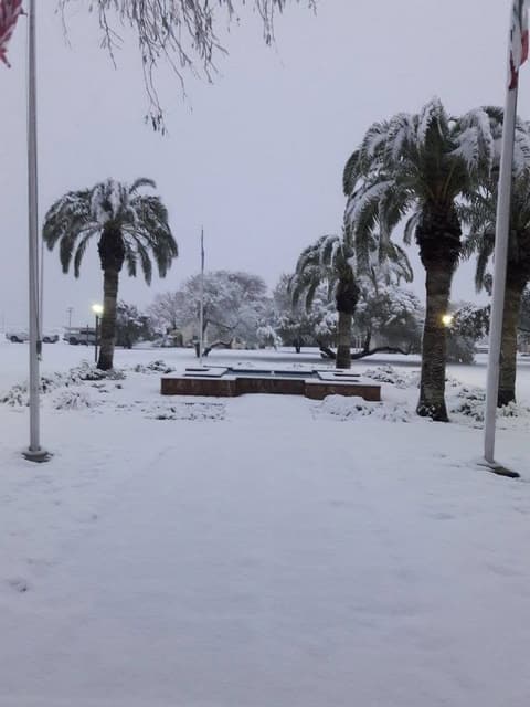 Snow on campus, December 8, 2017 — one of the few times it has snowed at Pan Am.