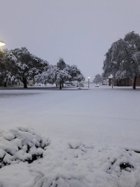 Snow on campus, December 8, 2017 — one of the few times it has snowed at Pan Am.