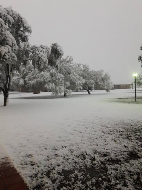 Snow on campus, December 8, 2017 — one of the few times it has snowed at Pan Am.