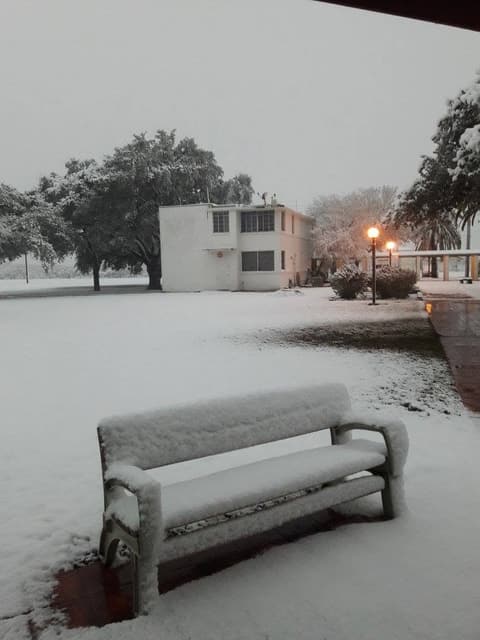 Snow on campus, December 8, 2017 — one of the few times it has snowed at Pan Am.