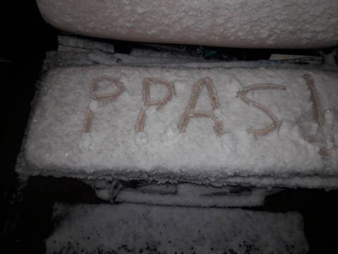 “PPAS” written in the snow, December 8, 2017.