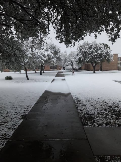 Snow on campus, December 8, 2017 — one of the few times it has snowed at Pan Am.