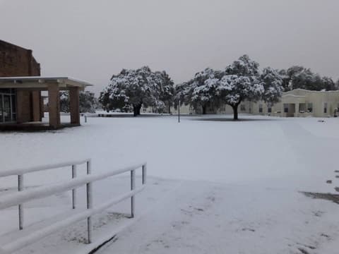 Snow on campus, December 8, 2017 — one of the few times it has snowed at Pan Am.