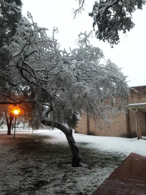 Snow on campus, December 8, 2017 — one of the few times it has snowed at Pan Am.