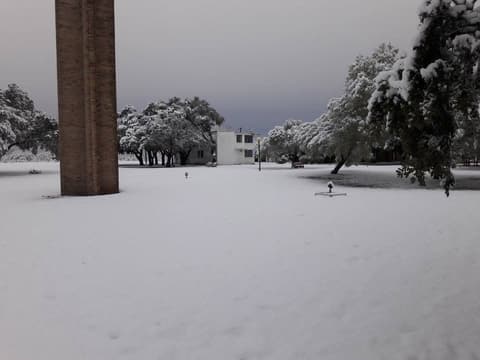 Snow on campus, December 8, 2017 — one of the few times it has snowed at Pan Am.