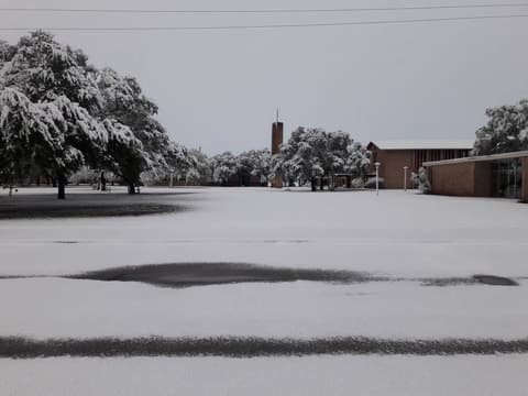 Snow on campus, December 8, 2017 — one of the few times it has snowed at Pan Am.