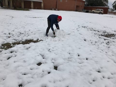 Rolling a snowball on the lawn, December 8, 2017.