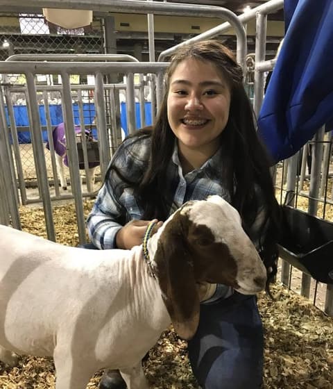 2018 Kleberg-Kenedy County Livestock Show.