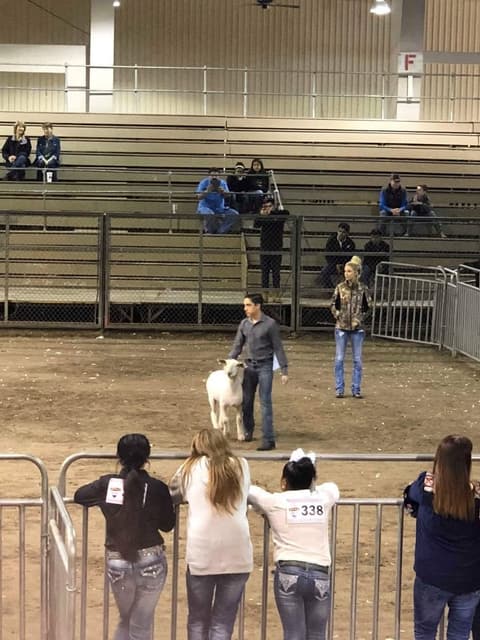 2018 Kleberg-Kenedy County Livestock Show.