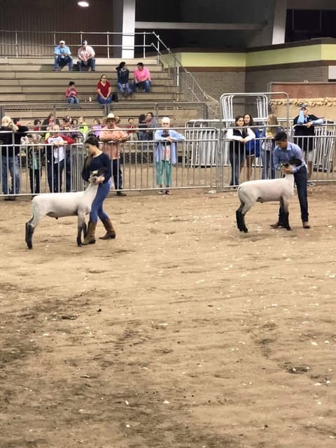 2018 Kleberg-Kenedy County Livestock Show.