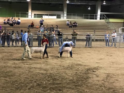 2018 Kleberg-Kenedy County Livestock Show.
