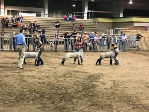 2018 Kleberg-Kenedy County Livestock Show.
