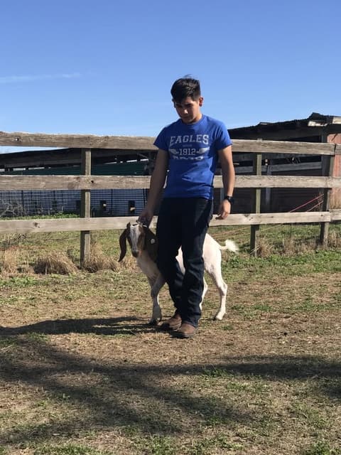 2018 Kleberg-Kenedy County Livestock Show.