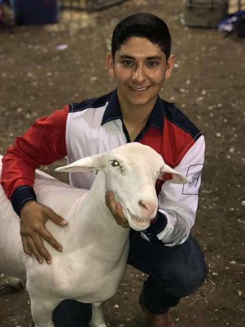 2019 Kleberg-Kenedy County Livestock Show.