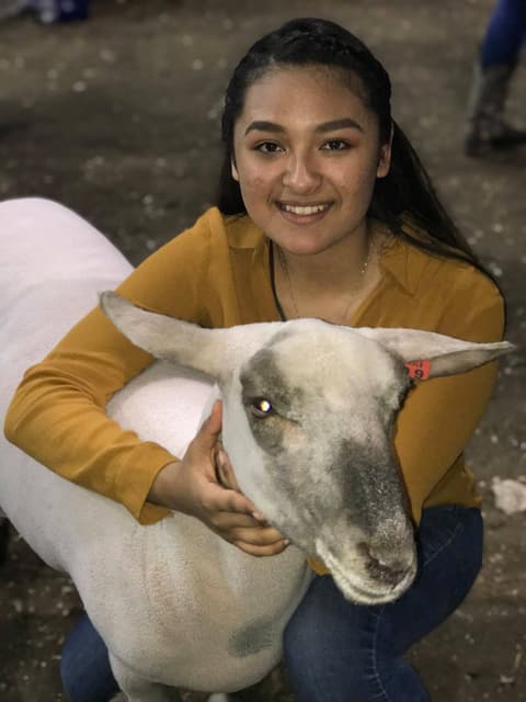 2019 Kleberg-Kenedy County Livestock Show.