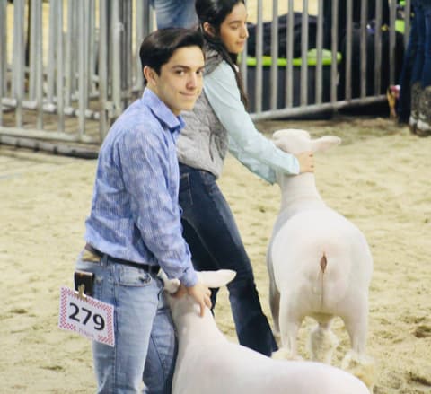 2019 Kleberg-Kenedy County Livestock Show.