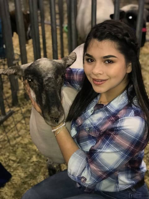 2019 Kleberg-Kenedy County Livestock Show.