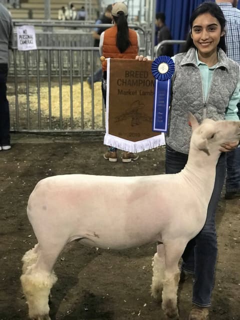 2019 Kleberg-Kenedy County Livestock Show.